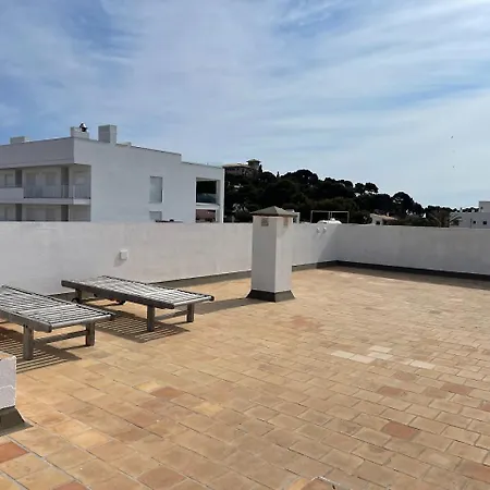 Gallu Cala Ratjada (Mallorca)