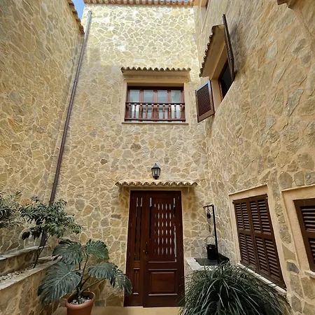 Gallu Cala Ratjada (Mallorca)