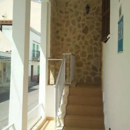 Gallu Cala Ratjada (Mallorca)