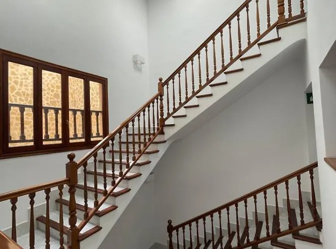 Gallu Cala Ratjada (Mallorca)