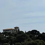 Gallu Cala Ratjada (Mallorca)