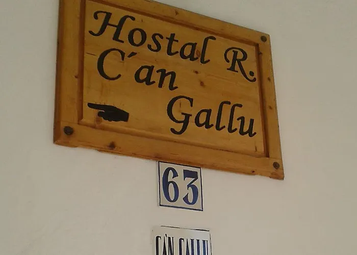 בית הארחה Gallu קאלה ראטג'אדה