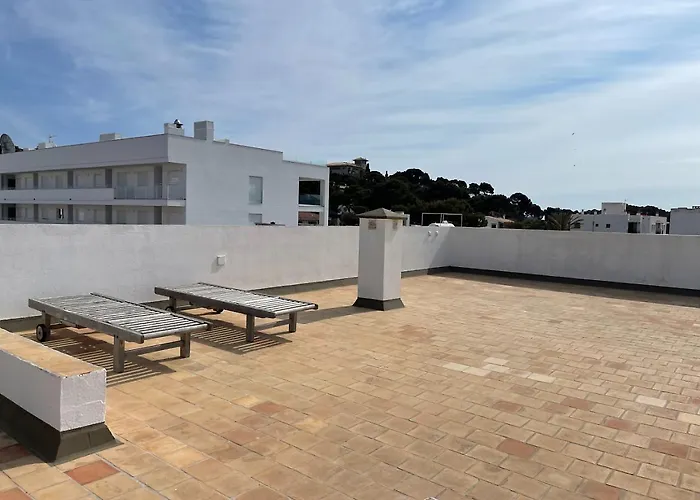 Gallu Cala Ratjada (Mallorca)